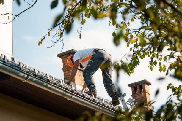 Best Roof Gutter Cleaning  in Monterey Park, CA